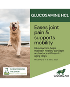 Dog running on a beach with glucosamine HCL advertisement text overlay.