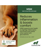 Dog paw held in hand with promotional text about MSM for joint health on a green background