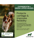 Dog running outdoors with a product advertisement for Chondroitin and Green-Lipped Mussel on the right.