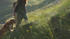A woman and her dog hiking up a steep hill